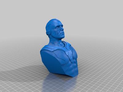 Vision Bust
