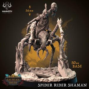Spider Rider Shaman