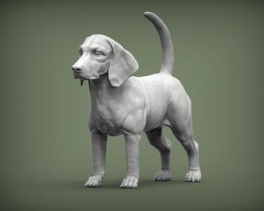 Beagle 3D print model