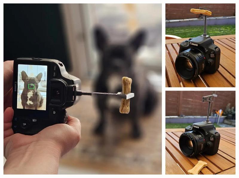 Hot Shoe Pet Portrait Helper   