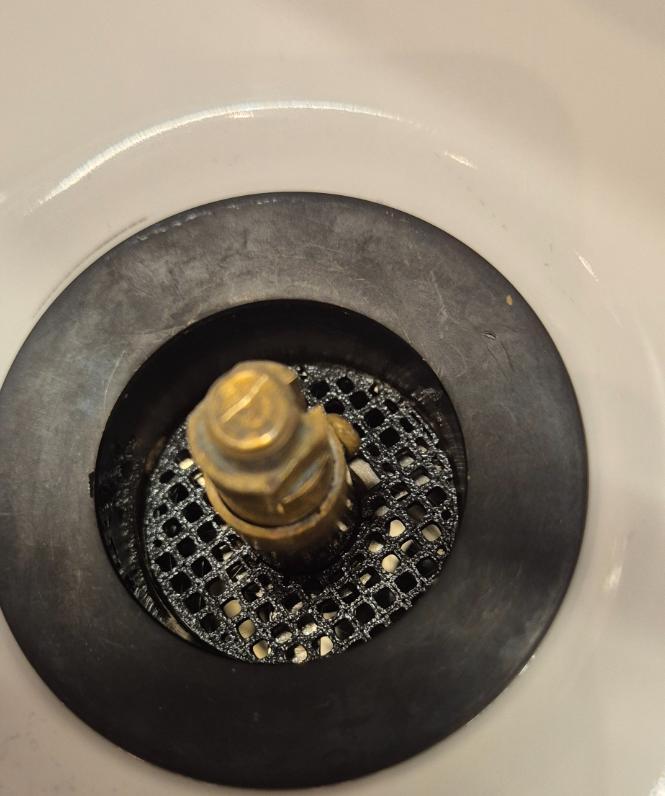 Drain Cover/Hair Catcher (washbasin)