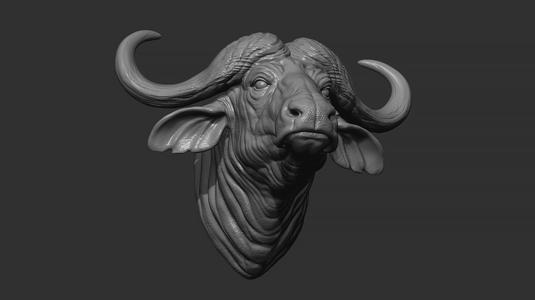 Buffalo head
