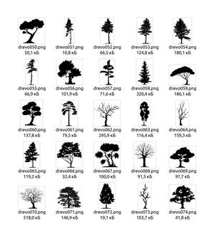 Tree (2)