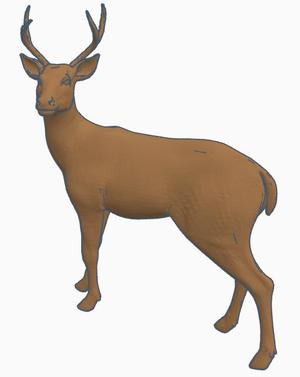 Buck deer