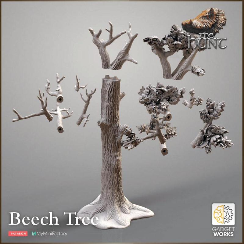 Beech Tree Winter/Summer versions - The Hunt