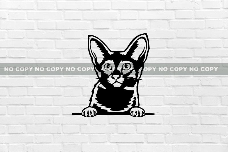 WALL DECORATION CAT Javanese Colorpoint