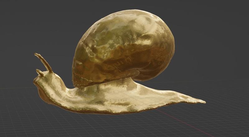 Snail