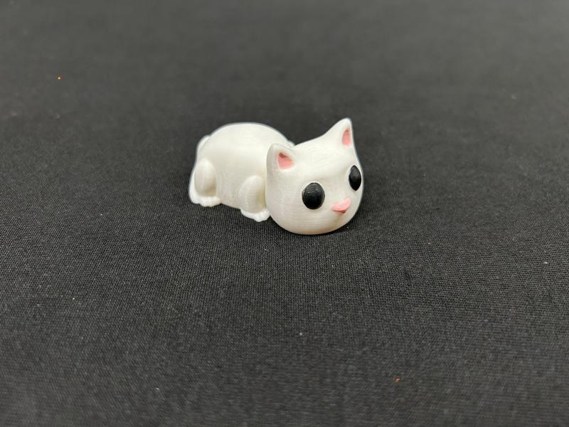Cute Cat