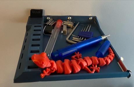Wall Tray