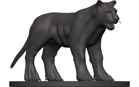 Black Leopard