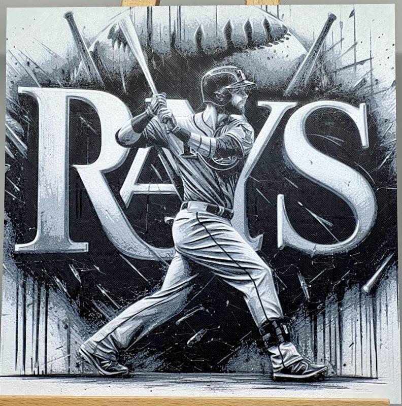 Play Ball! Tampa Bay Rays #3