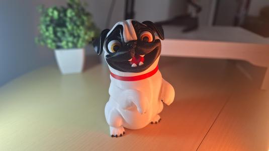 Pug Dog - By Colors