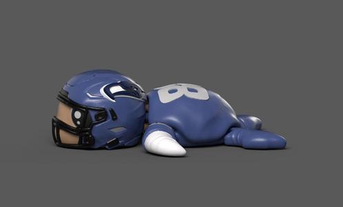 Football Turtle Seattle Seahawks