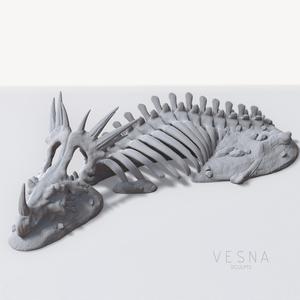 ANCIENT SKELETAL REMAINS