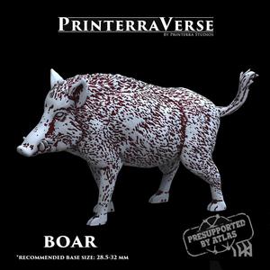 004 ANIMAL Wild Boar