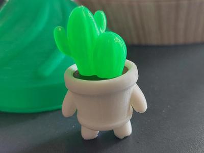 Cactus Buddy Miniature