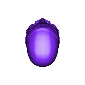 Space Lions Heads pt 2