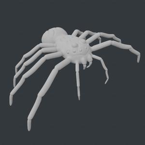 Spider