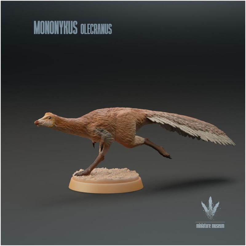 Mononykus olecranus : Running