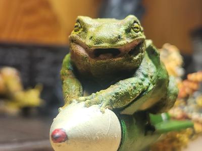 Missile Toad, Pleasant Payload