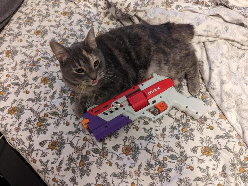 Extended Picatinny Rail - Dart Zone Max Outlaw