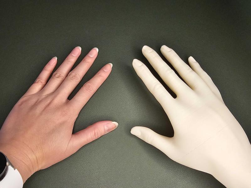 Hand model | Sculpted | Somewhat Realistic