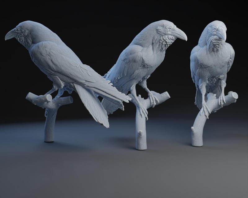 Raven: Put a bird on it 2