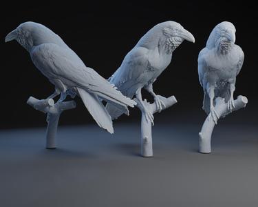 Raven: Put a bird on it 2