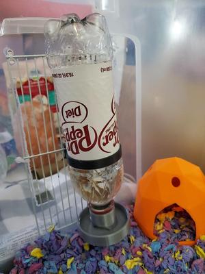 Rodent Hamspter Water Bottle 16.9oz 500mL