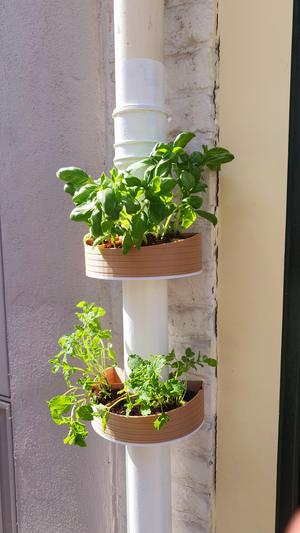 Drain Pipe Herb Garden