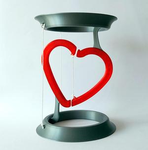 Heart Tensegrity