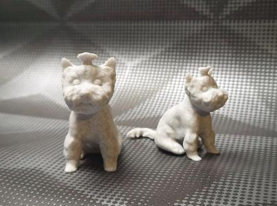 Yorkshire terrier sitting