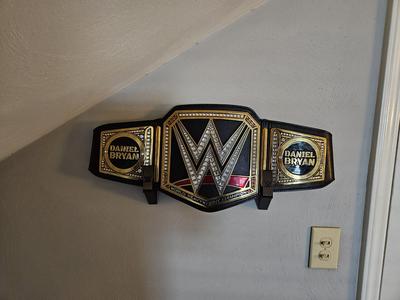 WWE Belt Hanger 2.0