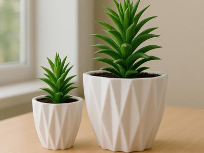 Plant pot 