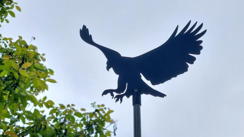 Eagle Silhouette_v2+added pedestal