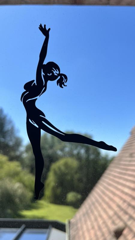 Gymnast Wall Art #3