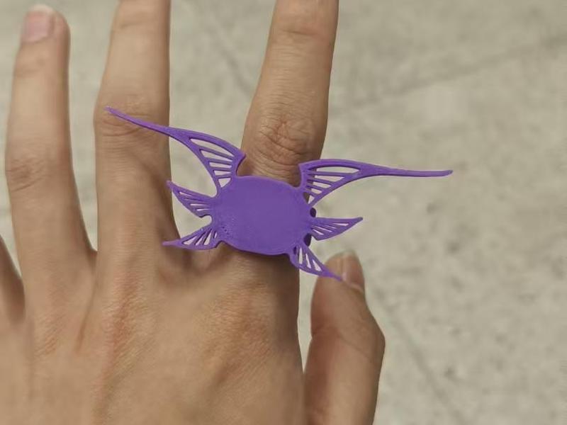 Xu Song Breath of the Wild Concert Ring