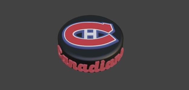 Montreal Canadiens Hockey Puck