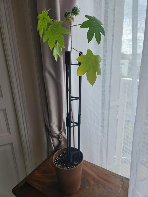 Modular plant stake