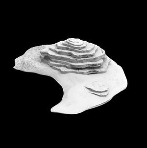 Rock Decoration A614