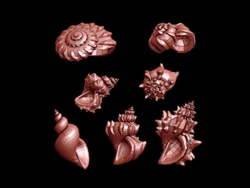 Spiral Shells