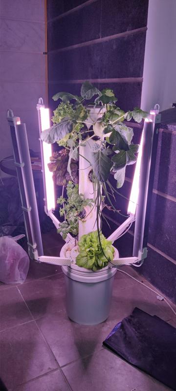 T5 T8 cable clip light grow