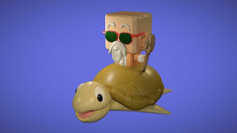 Muten Roshi on Turtle