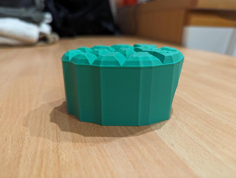 Turtle House - CASA PER TARTARUGA