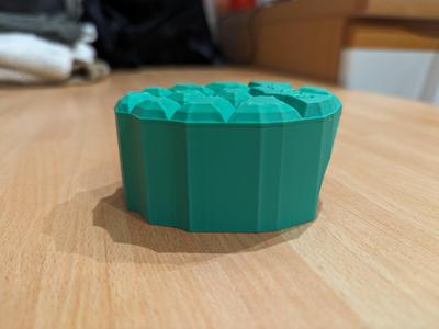 Turtle House - CASA PER TARTARUGA