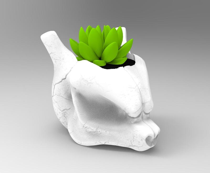 MEWTWO CRANIUM POT