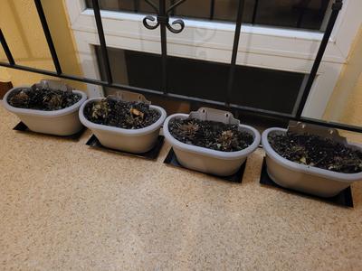 Minimalistic flowerpot stand