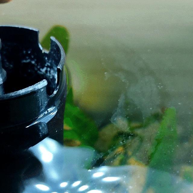 Aquarium water surface filter (manual skimmer)