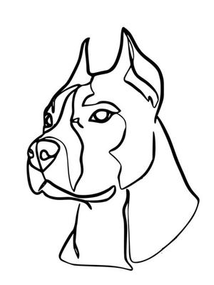 American Staffordshire Terrier Line Art.