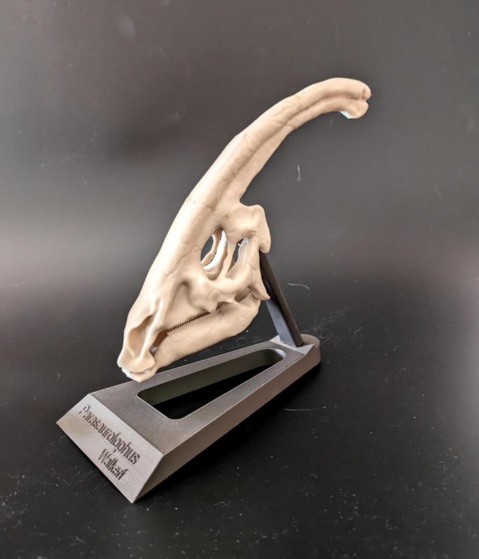 stand for parasaurolophus model